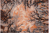 handmade Modern Kafkaz Black Orange Hand Knotted RECTANGLE 100% WOOL area rug 6' x 9'