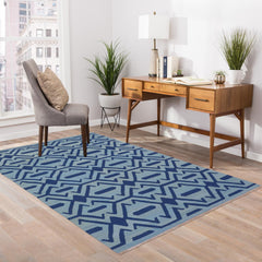 handmade Modern Kilim Blue Blue Hand-Woven RECTANGLE 100% WOOL area rug 4' x 6'