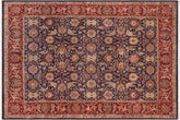 handmade Transitional Agra Blue Red Hand Knotted RECTANGLE 100% WOOL area rug 8x10