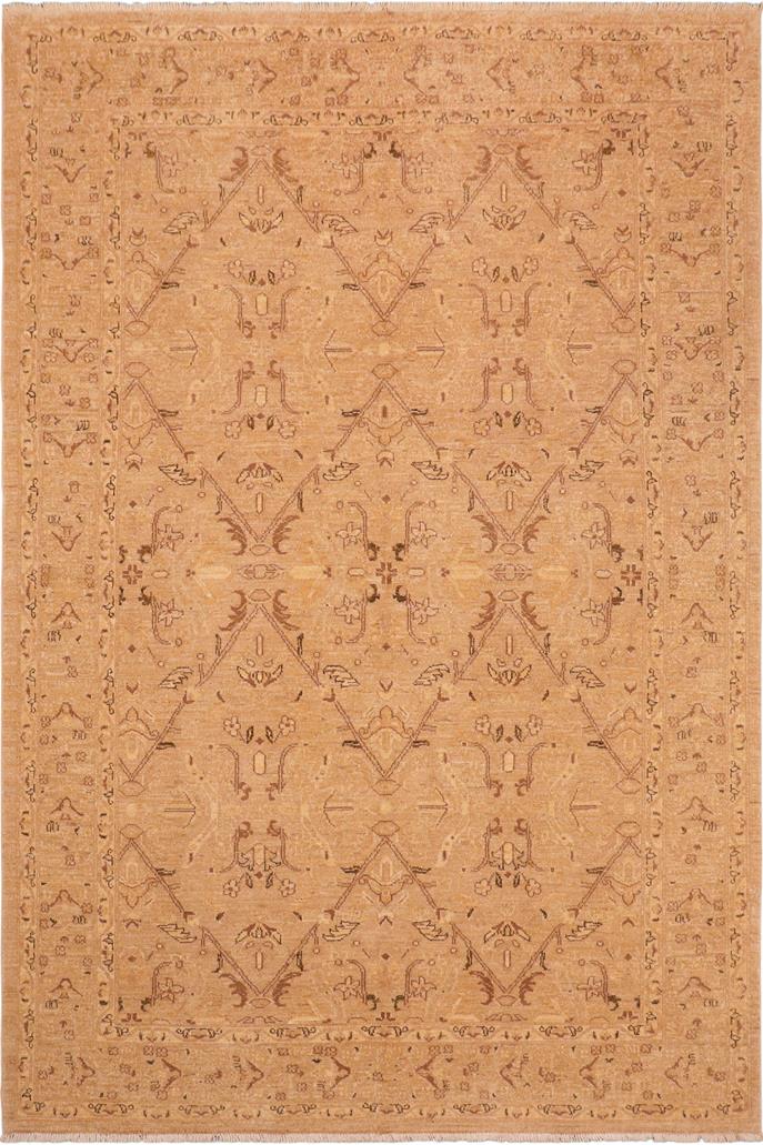 handmade Transitional Lahore Tan Brown Hand Knotted RECTANGLE 100% WOOL area rug 6 x 9