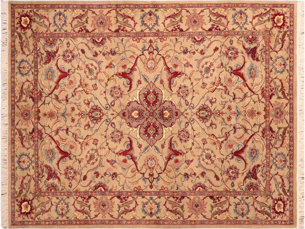 handmade Traditional Hamadan Taupe Red Hand Knotted RECTANGLE 100% WOOL area rug 6x9