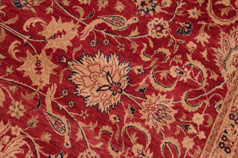 handmade Transitional Agra Red Gold Hand Knotted RECTANGLE 100% WOOL area rug 8x10