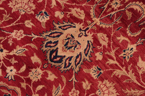 handmade Transitional Agra Red Gold Hand Knotted RECTANGLE 100% WOOL area rug 8x10
