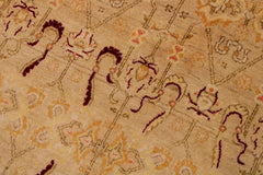Semi-Antique Agra Ola Tan/Beige Wool Rug - 9'0'' x 12'3''