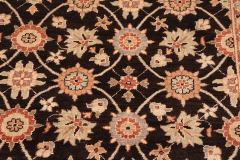 handmade Transitional Kafkaz Brown Beige Hand Knotted RECTANGLE 100% WOOL area rug 8' x 10'