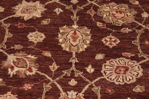 handmade Transitional Kafkaz Brown Beige Hand Knotted RECTANGLE 100% WOOL area rug 8' x 10'