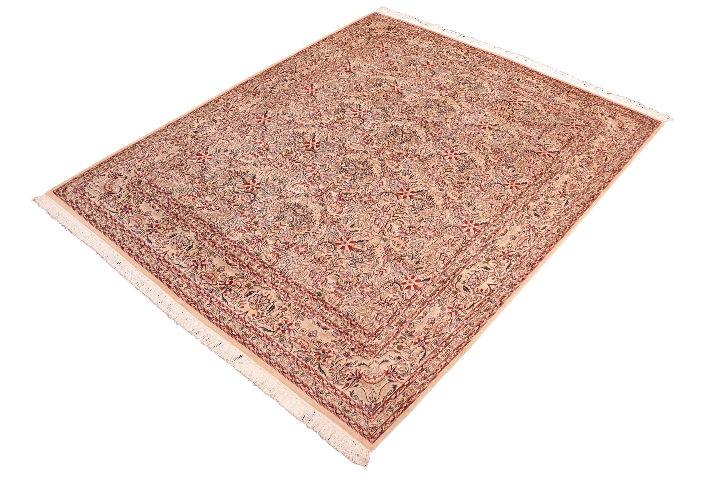 handmade Transitional Nagi Beige Red Hand Knotted RECTANGLE 100% WOOL area rug 8x11
