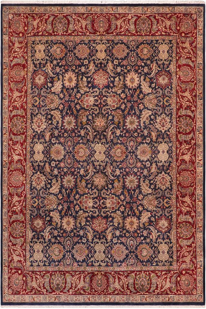 Traditional Agra Tessie Blue Red Hand Knotted Area rugs 8 x 10