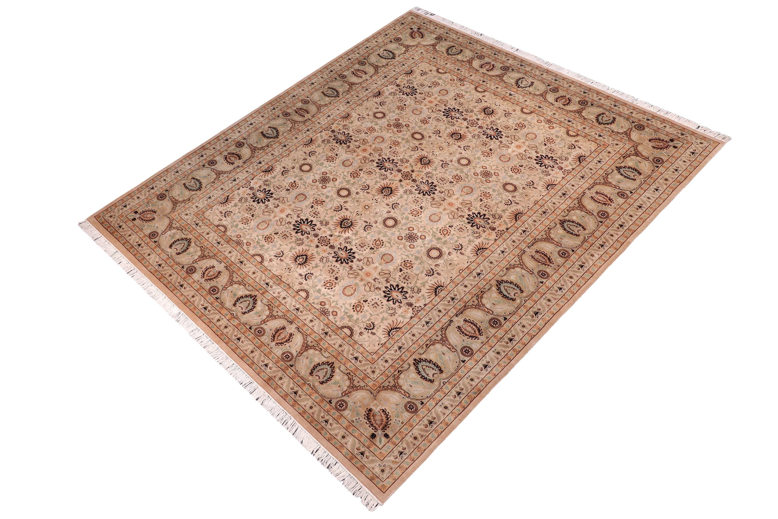 handmade Transitional New Asif Beige Green Hand Knotted RECTANGLE 100% WOOL area rug 9x12