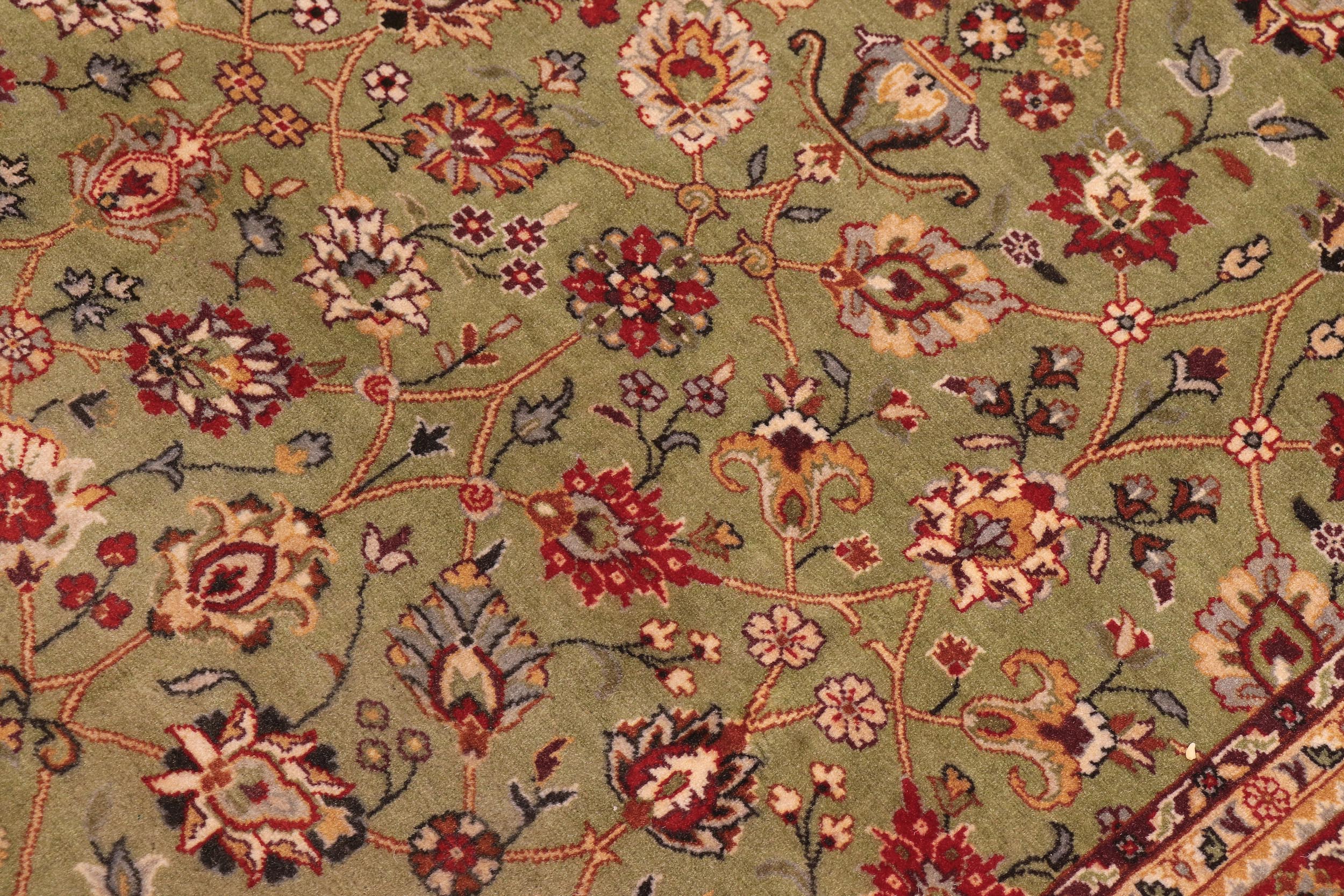 handmade Transitional Regular Green Aubergine Hand Knotted RECTANGLE 100% WOOL area rug 9x11