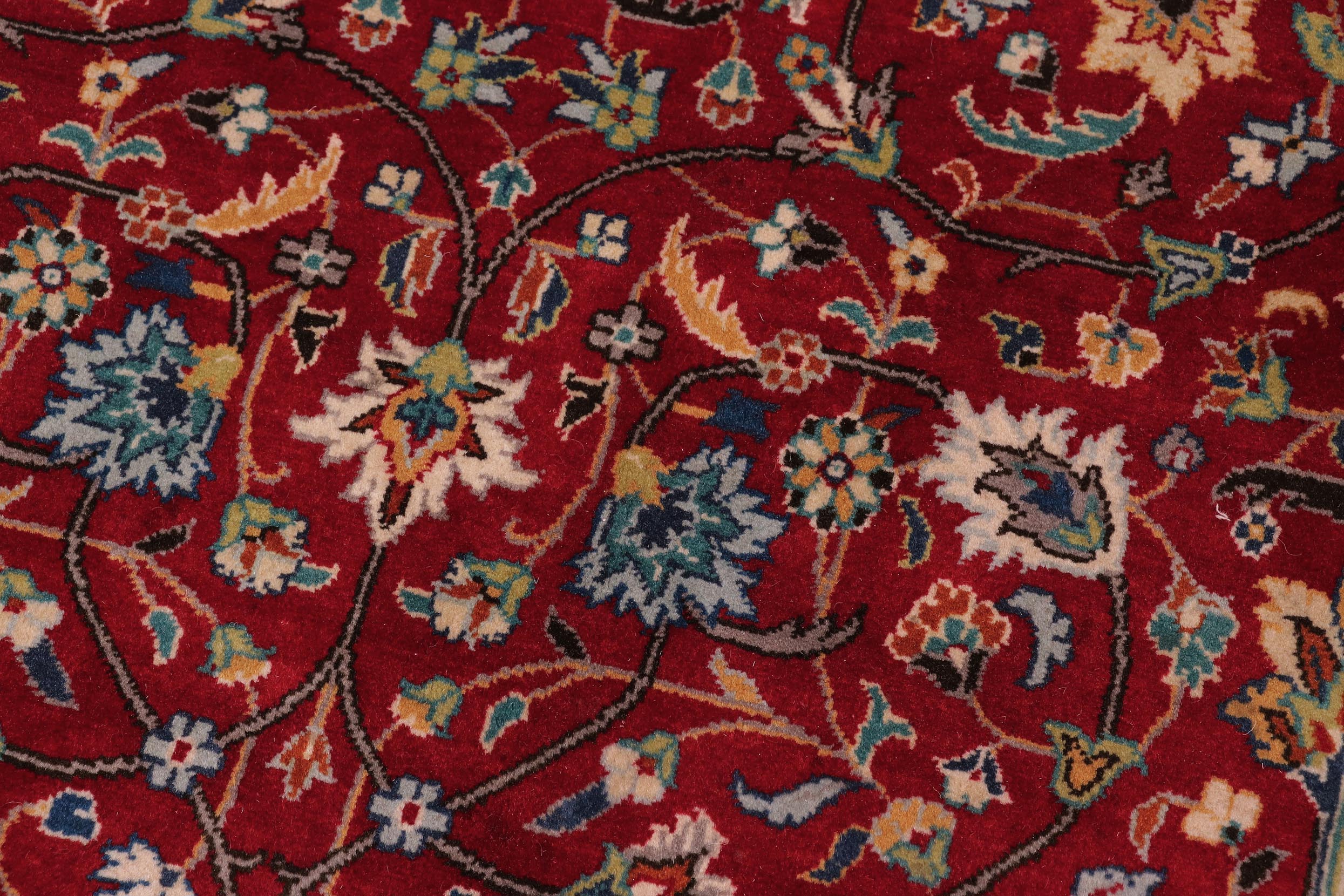 handmade Transitional  Red Teal Hand Knotted RECTANGLE 100% WOOL area rug 9x12