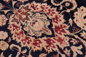 handmade Transitional Agra Blue Red Hand Knotted RECTANGLE 100% WOOL area rug 10x14