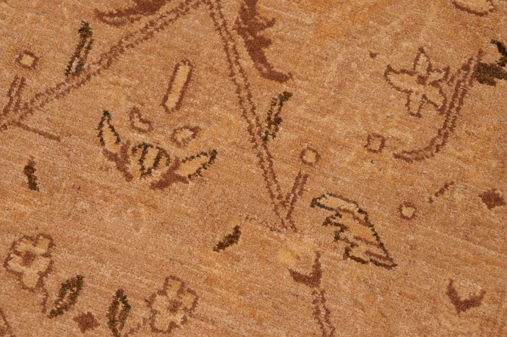 handmade Transitional Lahore Tan Brown Hand Knotted RECTANGLE 100% WOOL area rug 6 x 9