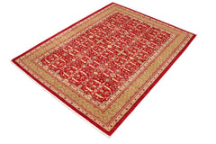 handmade Transitional  Red Green Hand Knotted RECTANGLE 100% WOOL area rug 6 x 9