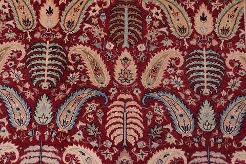 handmade Transitional Agra Red Blue Hand Knotted RECTANGLE 100% WOOL area rug 6x9
