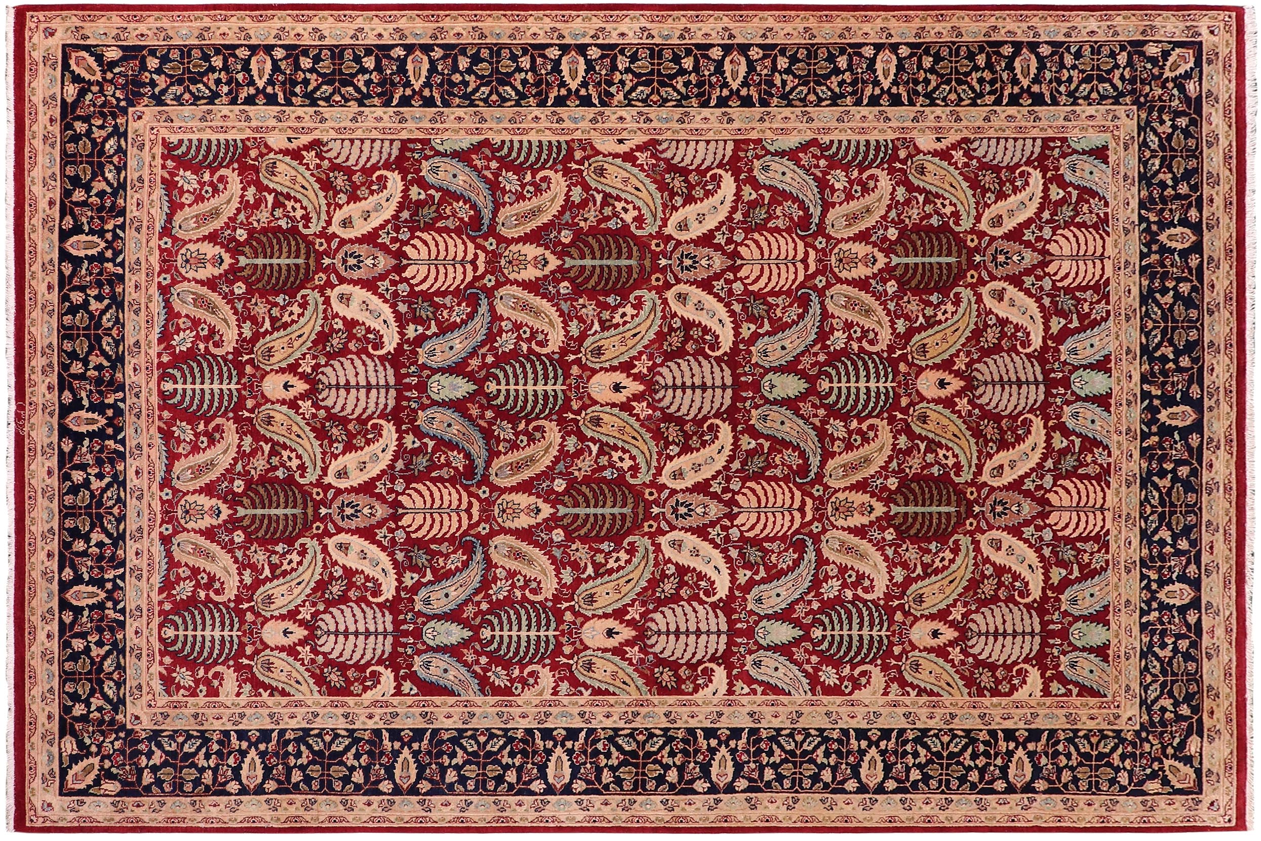 handmade Transitional Agra Red Blue Hand Knotted RECTANGLE 100% WOOL area rug 6x9