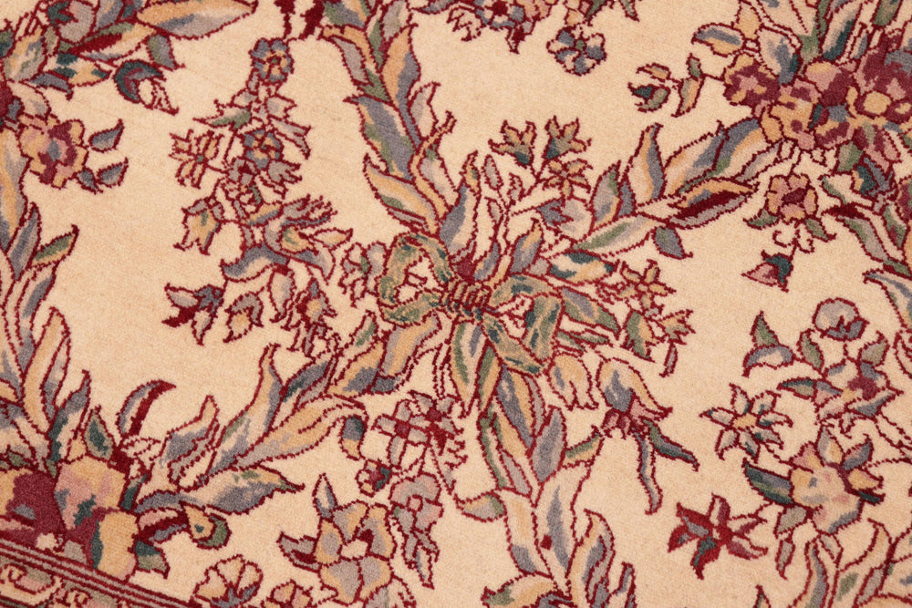 handmade Transitional Basan Ivory Red Hand Knotted RECTANGLE 100% WOOL area rug 6x9