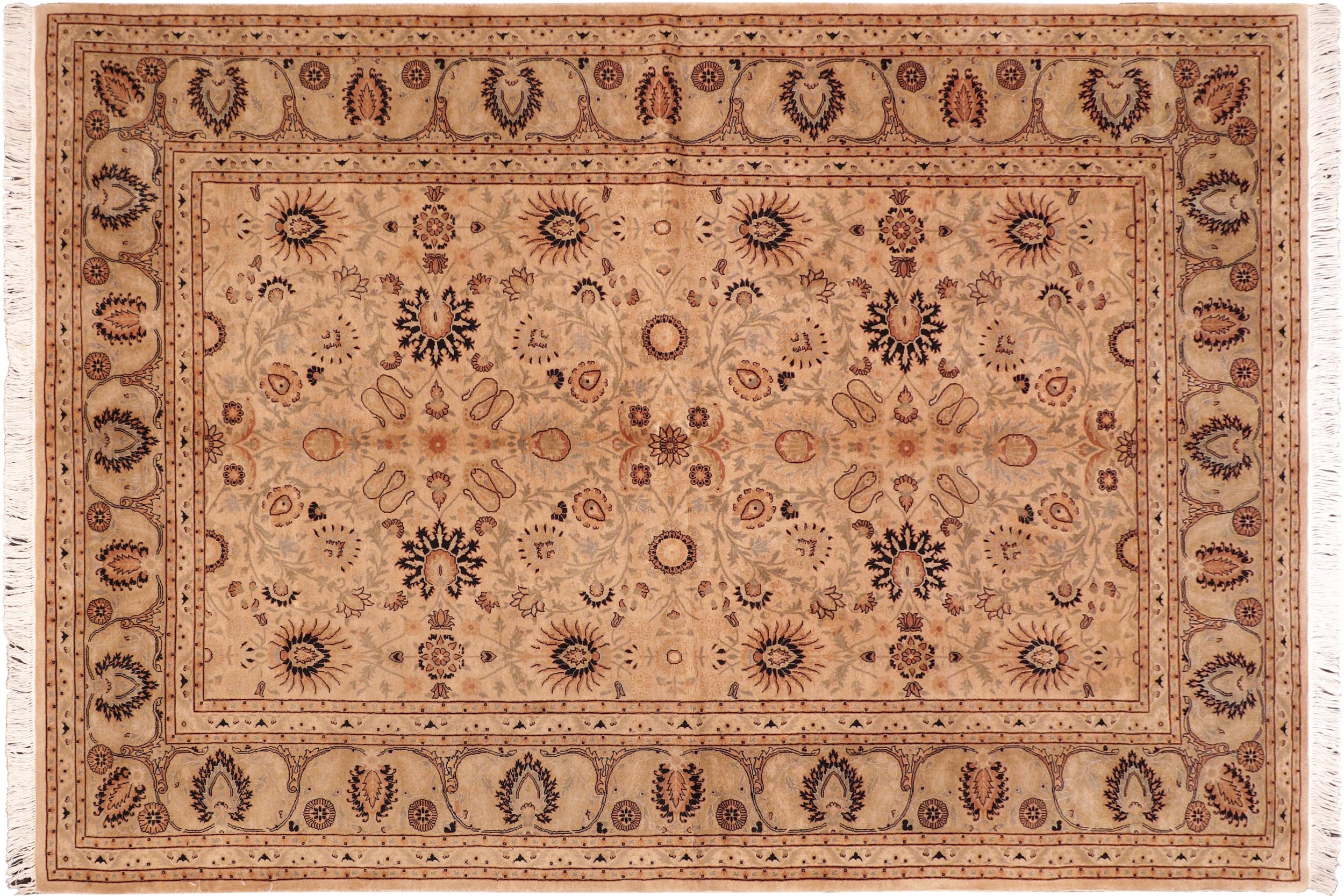 handmade Transitional New Asif Tan Green Hand Knotted RECTANGLE 100% WOOL area rug 6x9
