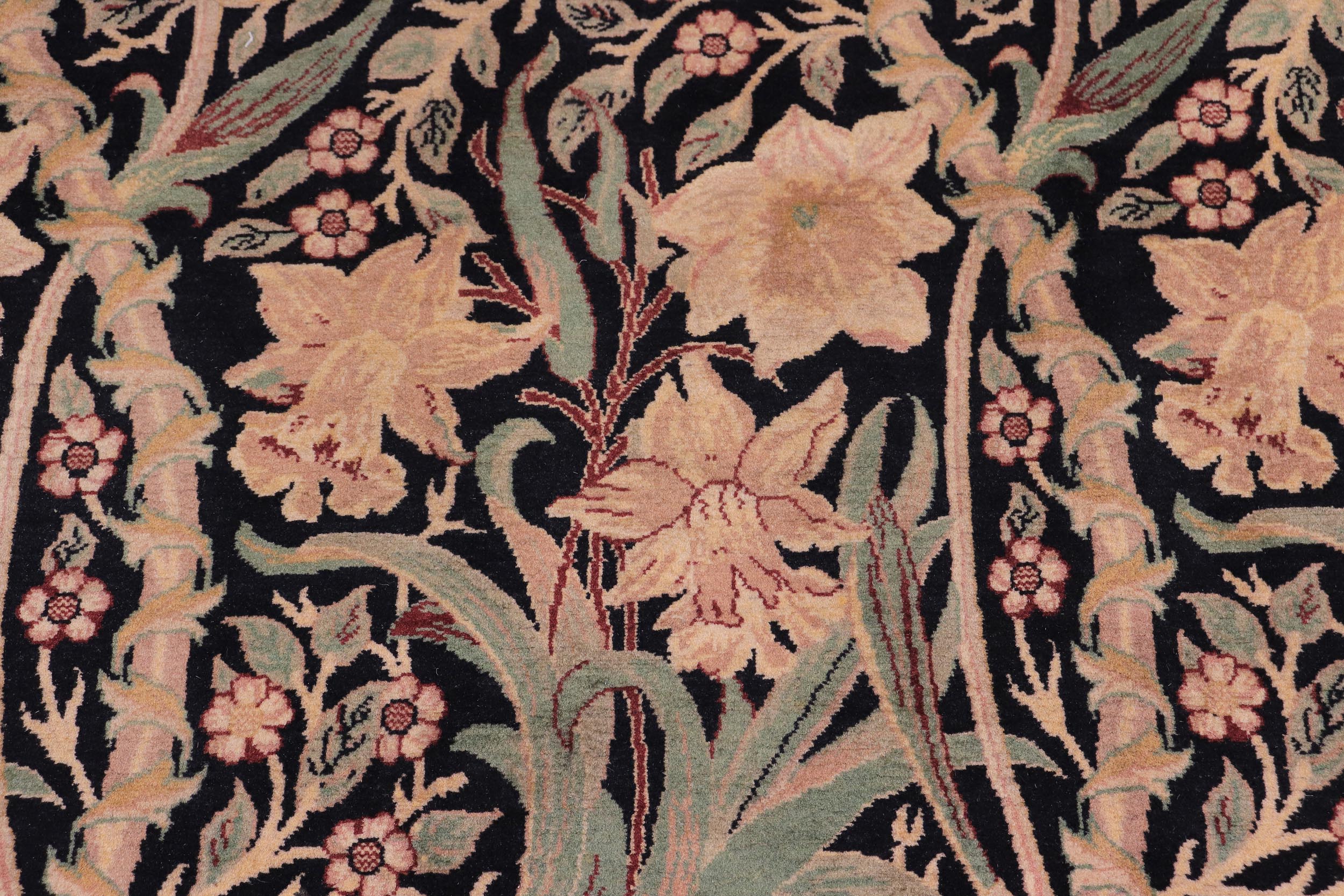 handmade Transitional Dafodils Black Tan Hand Knotted RECTANGLE 100% WOOL area rug 9x12