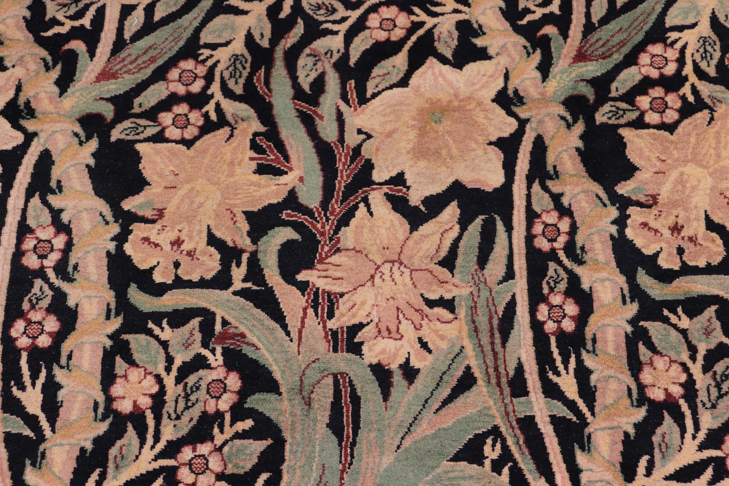 handmade Transitional Dafodils Black Tan Hand Knotted RECTANGLE 100% WOOL area rug 9x12