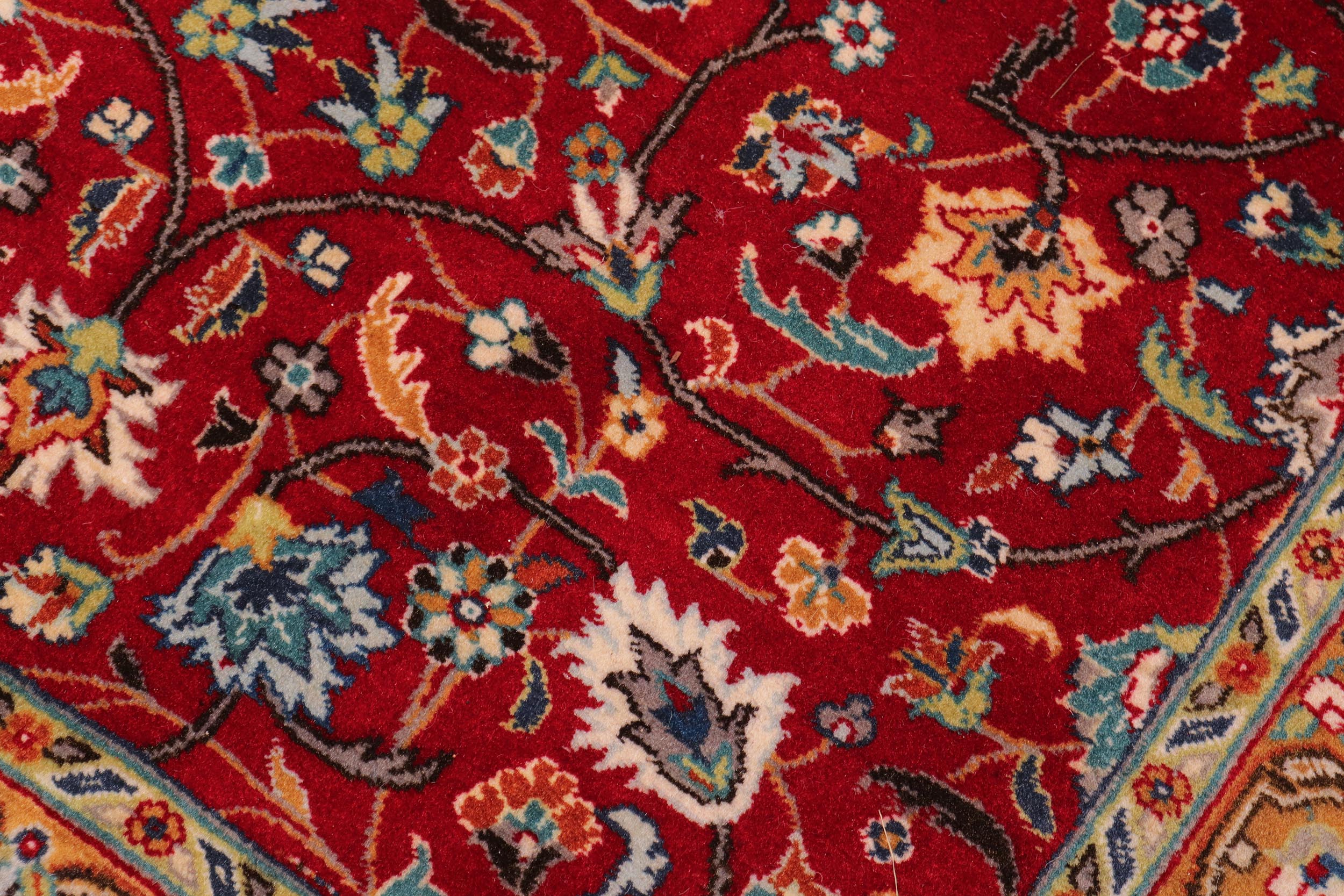 handmade Transitional  Red Teal Hand Knotted RECTANGLE 100% WOOL area rug 9x12