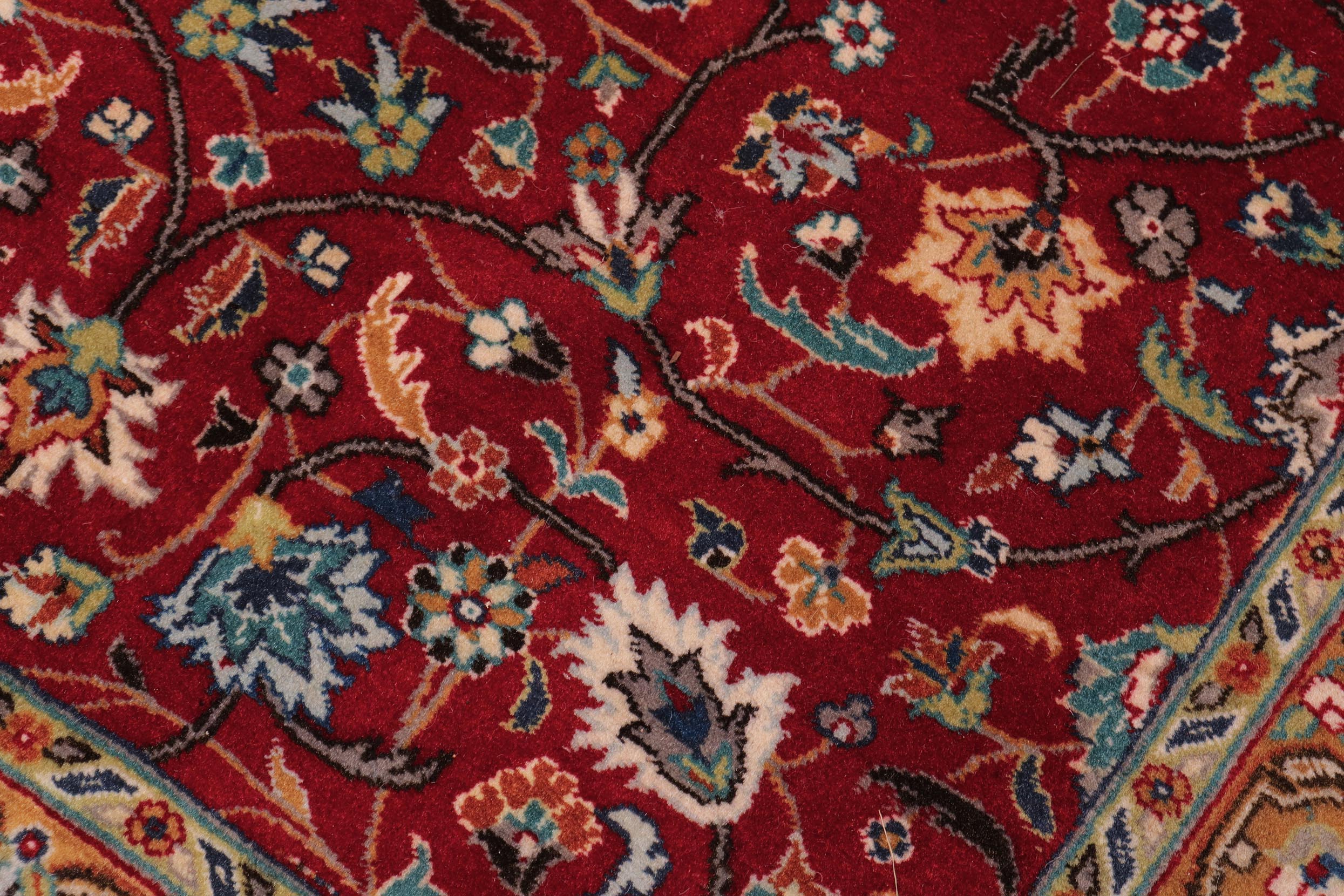 handmade Transitional  Red Teal Hand Knotted RECTANGLE 100% WOOL area rug 9x12