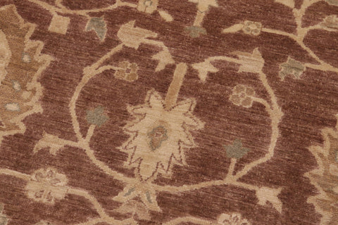 handmade Transitional Kafkaz Brown Tan Hand Knotted RECTANGLE 100% WOOL area rug 8' x 10'