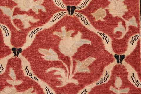 handmade Transitional Kafkaz Red Black Hand Knotted RECTANGLE 100% WOOL area rug 10' x 14'