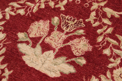 handmade Transitional Kafkaz Red Gold Hand Knotted RECTANGLE 100% WOOL area rug 10' x 14'