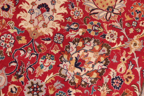 handmade Transitional  Red Blue Hand Knotted RECTANGLE 100% WOOL area rug 8x10
