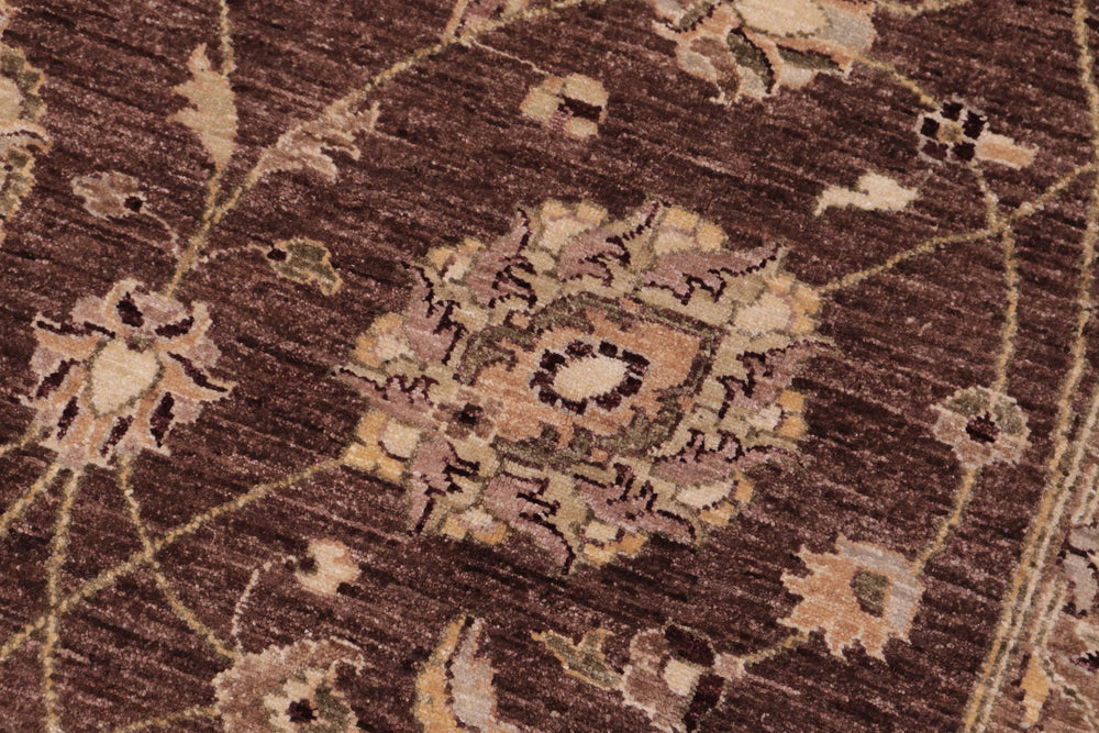 handmade Transitional Kafkaz Brown Beige Hand Knotted RECTANGLE 100% WOOL area rug 9' x 12'