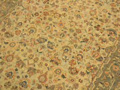 handmade Transitional Design Tan Green Hand Knotted RECTANGLE 100% WOOL area rug 4x6